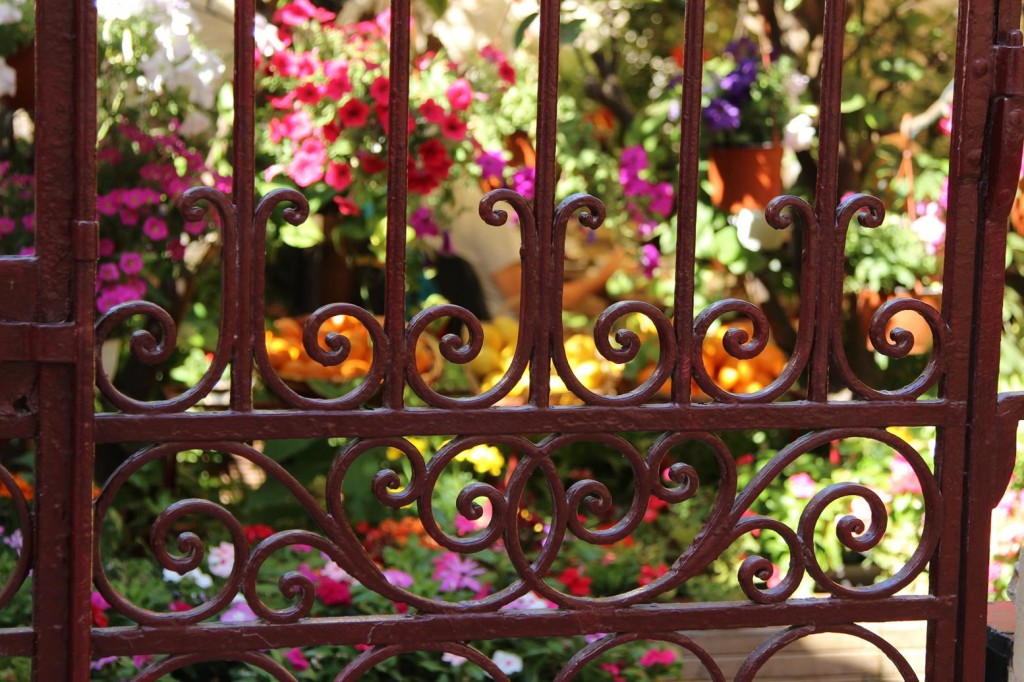 Malta island tours …. Christmas in the air